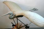 Life size heron sculpted in clay to be cast and painted in fibreglass for a Zoo