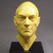 Sculpted Bust